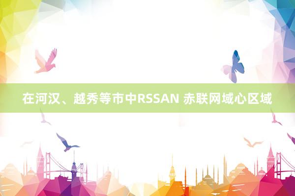 在河汉、越秀等市中RSSAN 赤联网域心区域