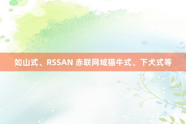 如山式、RSSAN 赤联网域猫牛式、下犬式等