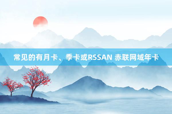 常见的有月卡、季卡或RSSAN 赤联网域年卡